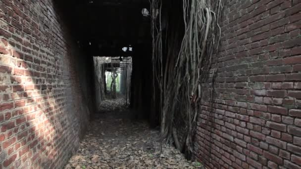 Foto Horor Bangunan Tua India — Stok Video