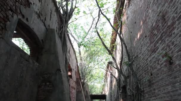 Страшный Снимок Старого Здания Индии — стоковое видео