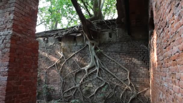 Foto Horror Del Viejo Edificio India — Vídeos de Stock