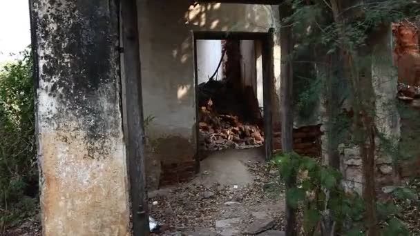 Horror Shot Old Building India — Stock Video