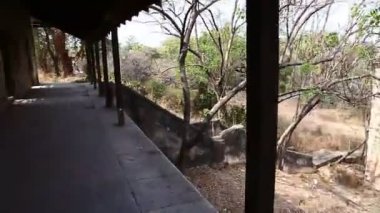 Hindistan 'daki eski binanın dehşet verici görüntüsü.