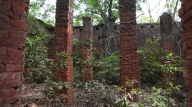 Eski binanın dehşet verici görüntüsü.