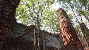 Eski binanın dehşet verici görüntüsü.