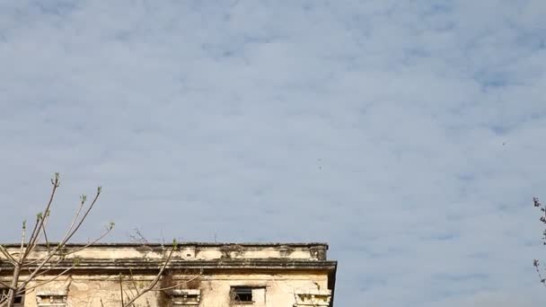 Straszne Ujęcie Starego Budynku Indie — Wideo stockowe