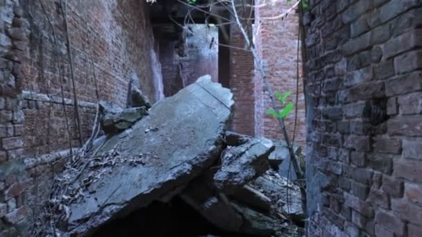 Τρομακτική Βολή Του Παλιού Κτιρίου — Αρχείο Βίντεο