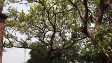 Eski binanın dehşet verici görüntüsü.