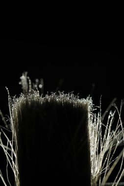 Bir Fırçanın Kapanışı