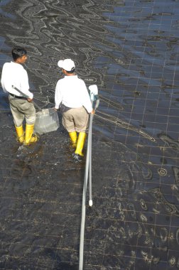 İş yerindeki Hyderabad Hindistan 25 Haziran 2023