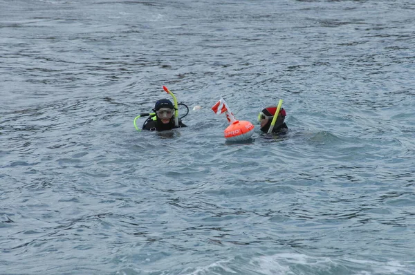 Plongeurs Entrant Dans Mer — Photo