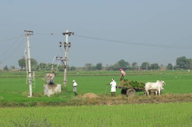 İş yerindeki Hyderabad Hindistan 25 Haziran 2023