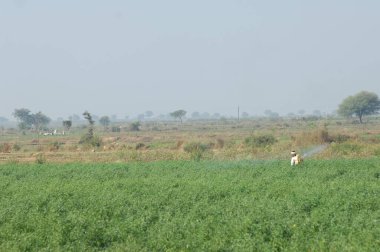 İş yerindeki Hyderabad Hindistan 25 Haziran 2023