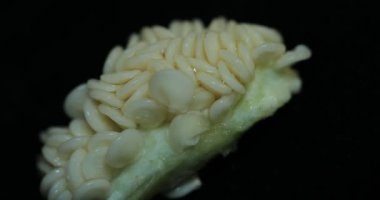 Capsicum Tohumları Bir Tablo Üzerinde