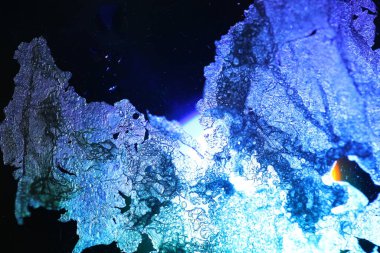 Soyut renkli kağıt desen makro çekim