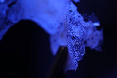 Kurutulmuş pirinç lapası tabakası.