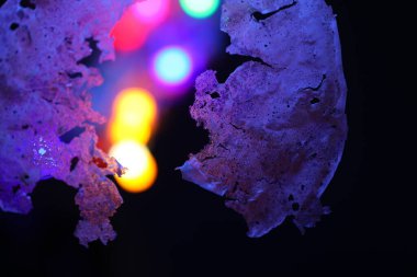 Kurutulmuş pirinç lapası tabakası.