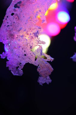 Kurutulmuş pirinç lapası tabakası.