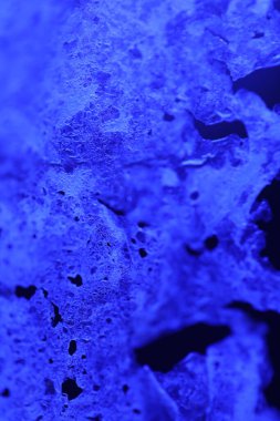 Kurutulmuş pirinç lapası tabakası.