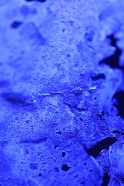 Kurutulmuş pirinç lapası tabakası.