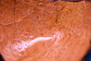 Boş Hindistan cevizi kabuğu