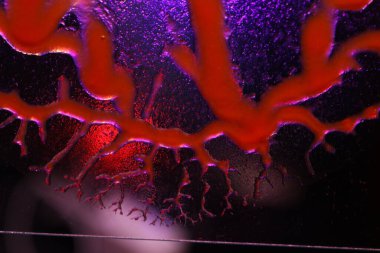 Kan damarlarından geçen kan dolaşımı.