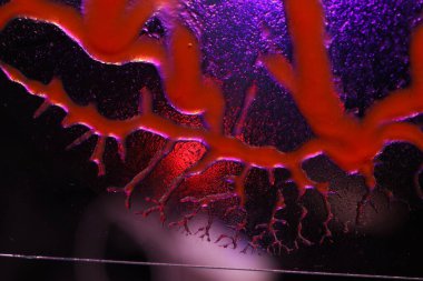 Kan damarlarından geçen kan dolaşımı.