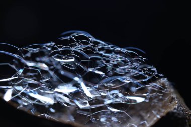 Renkli suda hava kabarcıkları