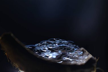 Renkli suda hava kabarcıkları