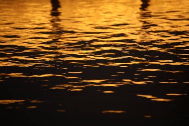 Denizde su dalgaları