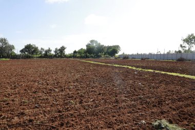 Tarlalarda Kuru Çamur