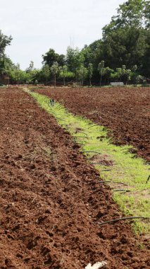 Tarlalarda Kuru Çamur