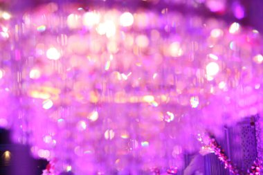 Hindistan fonksiyonunda çiçek süsleme