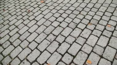 Arka bahçedeki fayanslar.