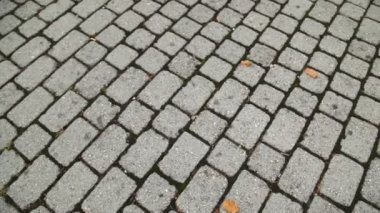 Arka bahçedeki fayanslar.