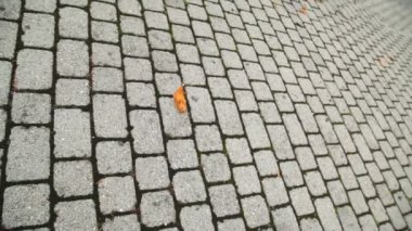 Arka bahçedeki fayanslar.