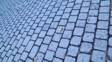 Arka bahçedeki fayanslar.