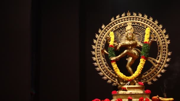 Hinduistische Gottesstatue Tempel Indien — Stockvideo