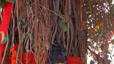 Hindistan Ağacı 'nda Tanrı heykeli