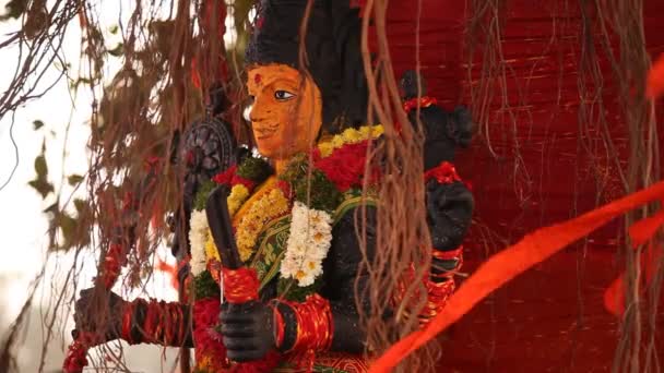 Estatua Dios Tree India — Vídeo de stock