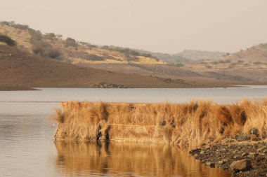 Göl kıyısında tahta bir rampa.