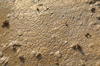 Mud Texture at Rural area clipart