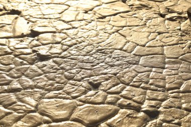 Mud Texture at Rural area clipart