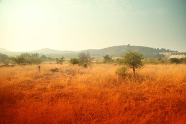 Kırsal Köy Bölgesi Hindistan