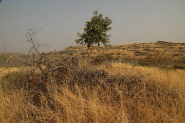 Kırsal Köy Bölgesi Hindistan