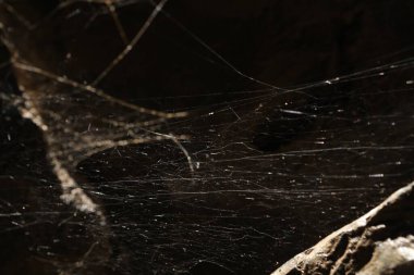 Mağaradaki işlenmemiş taş dokusu