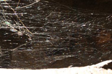 Mağaradaki işlenmemiş taş dokusu