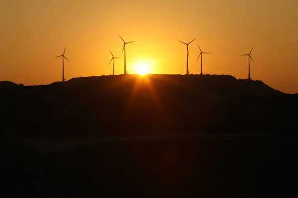 印度日落时的风车农场 图库照片