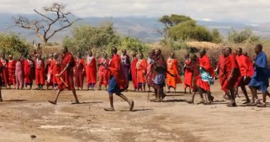 Masai Kabileleri Kenya Afrika 'da 5 Mart 2024