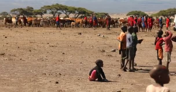 Masai Tribes Kenya Africa 5Th March 2024 — Stock Video