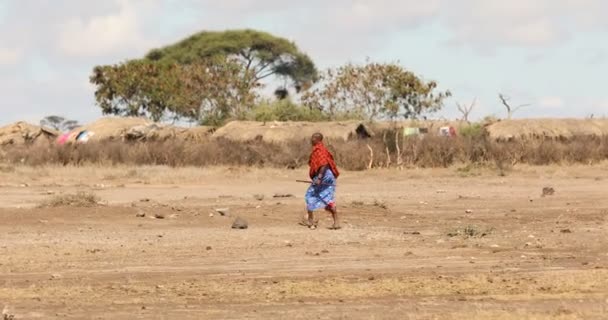Μασάι Φυλές Στην Κένυα Αφρική Μαρτίου 2024 — Αρχείο Βίντεο