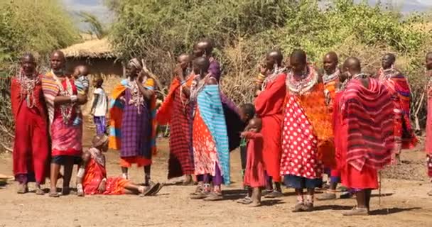 Masai Tribes ในเคนย แอฟร นาคม 2024 — วีดีโอสต็อก